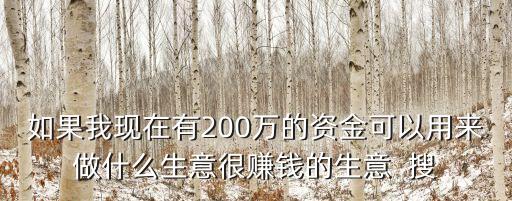 如果我現(xiàn)在有200萬(wàn)的資金可以用來(lái)做什么生意很賺錢(qián)的生意  搜