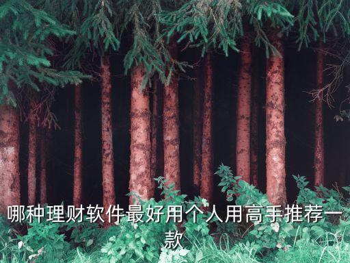 哪種理財(cái)軟件最好用個(gè)人用高手推薦一款