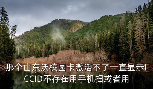 那個山東沃校園卡激活不了一直顯示ICCID不存在用手機(jī)掃或者用