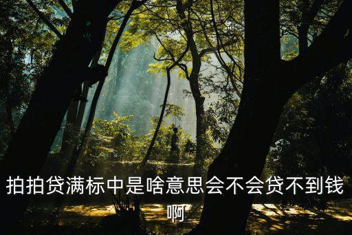 拍拍貸的標是什么意思，拍拍貸滿標是什么意思