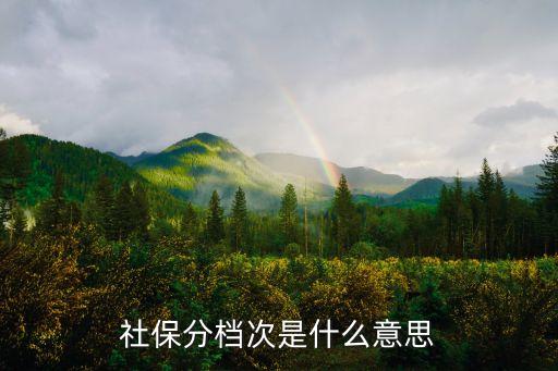 社保分檔次是什么意思