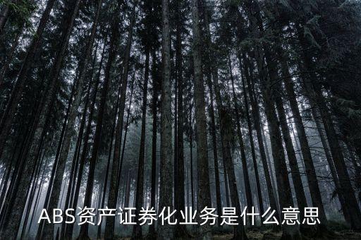 什么叫abs項(xiàng)目，金融abs是什么意思
