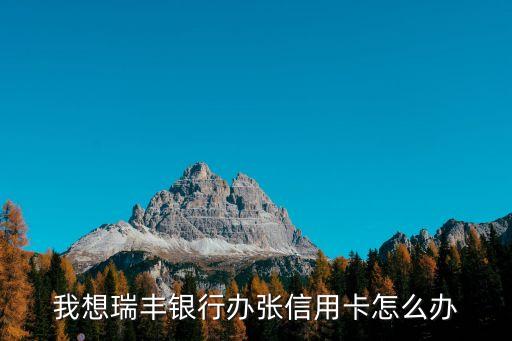 我想瑞豐銀行辦張信用卡怎么辦