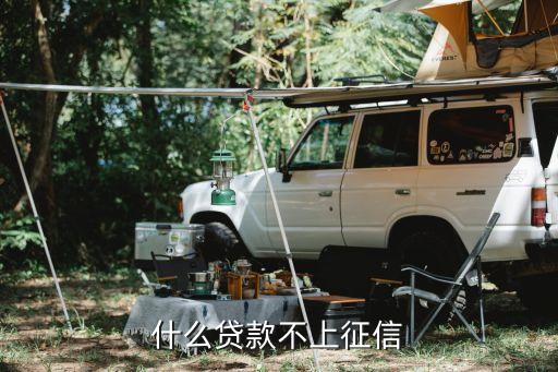 什么貸款不上征信