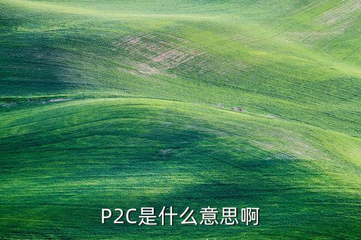 P2C是什么意思啊