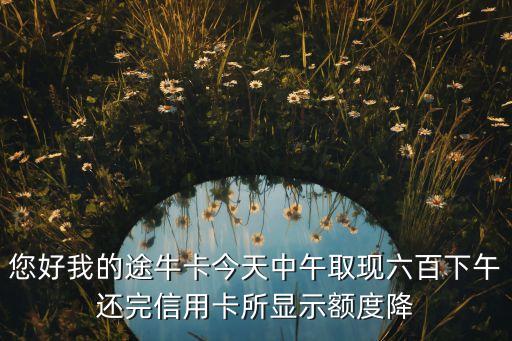 您好我的途?？ń裉熘形缛‖F(xiàn)六百下午還完信用卡所顯示額度降