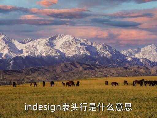 indesign表頭行是什么意思