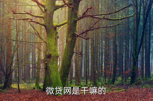 微貸網(wǎng)是干嘛的