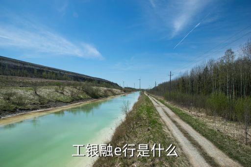 工行融e借是什么，工銀融e行是什么