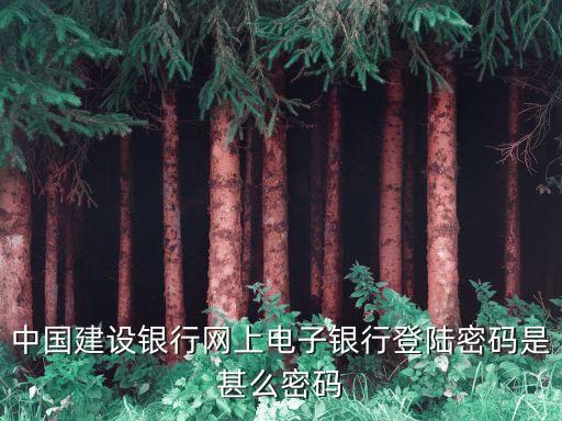 中國建設(shè)銀行網(wǎng)上電子銀行登陸密碼是甚么密碼