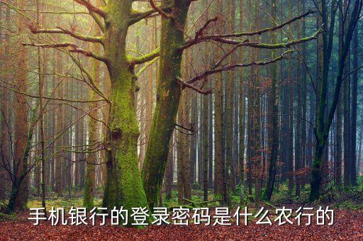 手機(jī)銀行的登錄密碼是什么農(nóng)行的