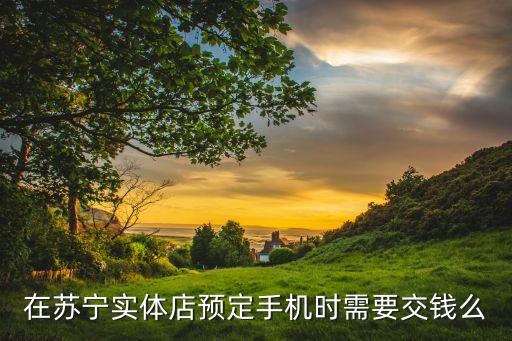 蘇寧預(yù)定金什么意思，蘇寧的付費預(yù)定交了定金請問就是搶到了嗎