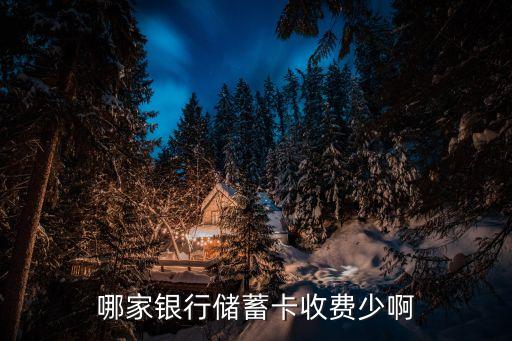 哪家銀行儲蓄卡收費(fèi)少啊
