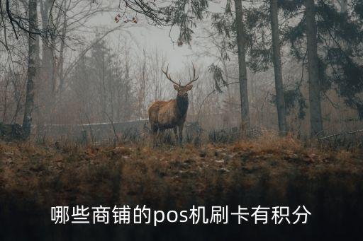 哪些商鋪的pos機(jī)刷卡有積分