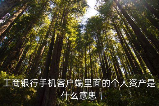 工商銀行手機客戶端里面的個人資產(chǎn)是什么意思