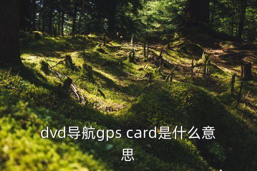 dvd導(dǎo)航gps card是什么意思