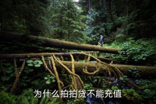 為什么拍拍貸不能充值