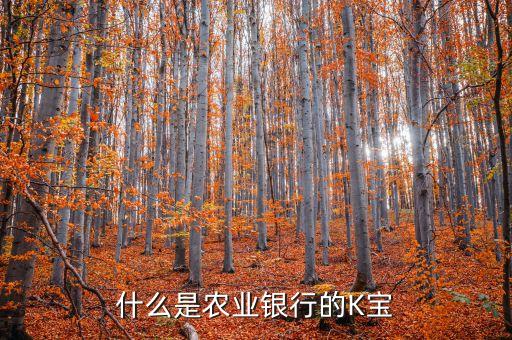 什么是農(nóng)業(yè)銀行的K寶