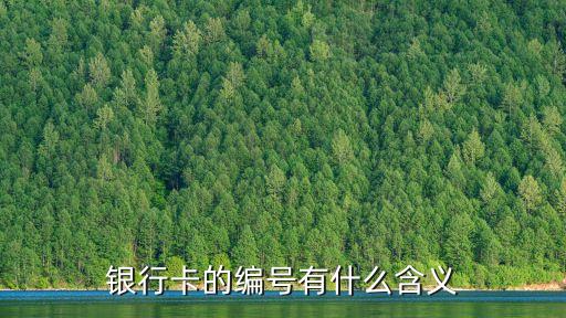 銀行卡的編號(hào)有什么含義