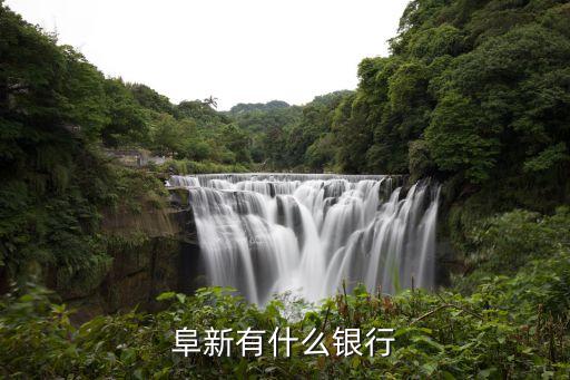 阜新有什么銀行