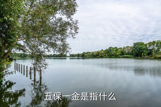 五保一金是指什么