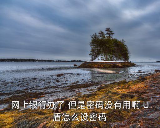 網(wǎng)上銀行辦了 但是密碼沒(méi)有用啊 U盾怎么設(shè)密碼