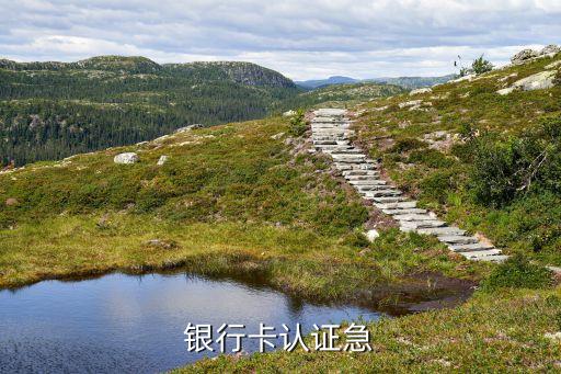 銀行卡認(rèn)證急