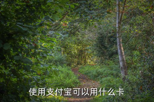 使用支付寶可以用什么卡
