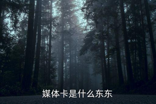 媒體卡是什么東東