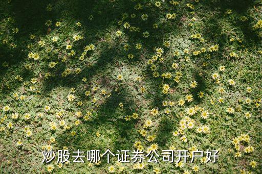 什么證券公司開戶最快，股票開戶在哪個(gè)證券公司開比較好呢