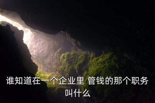 誰(shuí)知道在一個(gè)企業(yè)里 管錢的那個(gè)職務(wù)叫什么