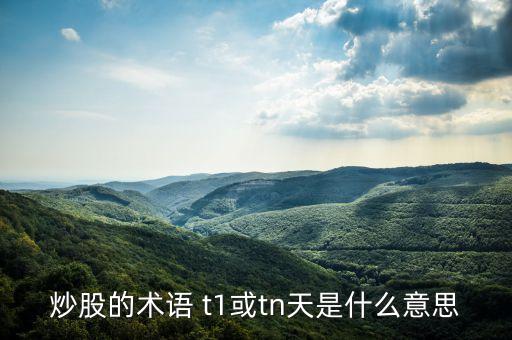 炒股的術(shù)語 t1或tn天是什么意思
