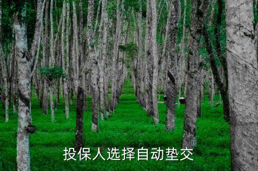 投保人選擇自動墊交