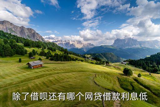 除了借唄還有哪個(gè)網(wǎng)貸借款利息低