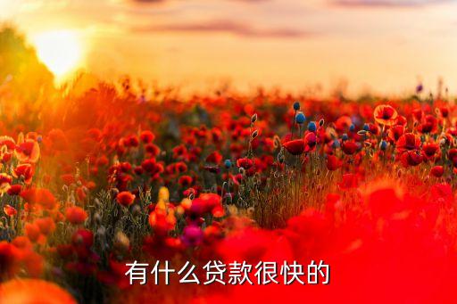 有什么貸款很快的