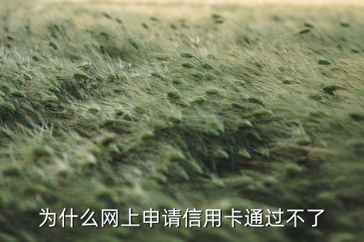 為什么網(wǎng)上申請信用卡審核不通過審核，為什么我在網(wǎng)上申請信用卡都沒有通過呢