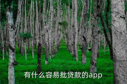 有什么容易批貸款的app