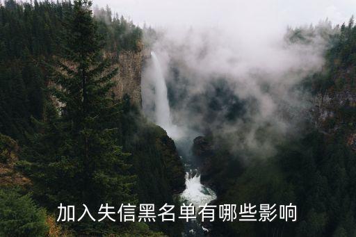 加入失信黑名單有哪些影響