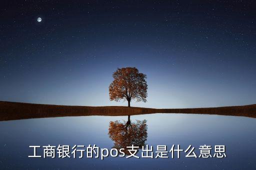 工商銀行的pos支出是什么意思