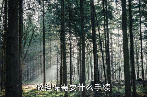 私人擔(dān)保注意什么手續(xù)，做擔(dān)保需要什么手續(xù)