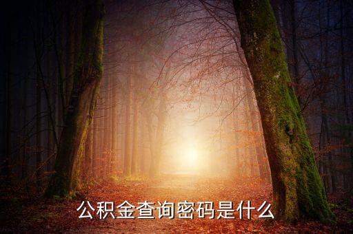 公積金的首次密碼是什么意思，廣州住房公積金初始密碼是什么