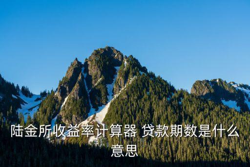 陸金所收益率計(jì)算器 貸款期數(shù)是什么意思