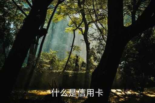 什么是信用卡