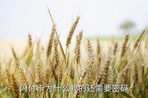 閃付卡為什么我的還需要密碼