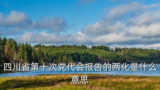 四川省第十次黨代會(huì)報(bào)告的兩化是什么意思