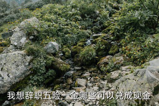 我想辭職五險一金哪些可以兌成現(xiàn)金