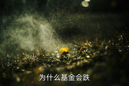 基金為什么會跌，為什么股票在漲基金卻在跌