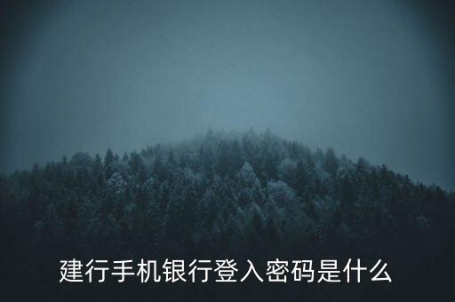 建行手機銀行登入密碼是什么