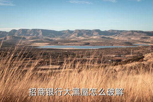 招商黑屋什么意思，招商銀行大黑屋怎么破解