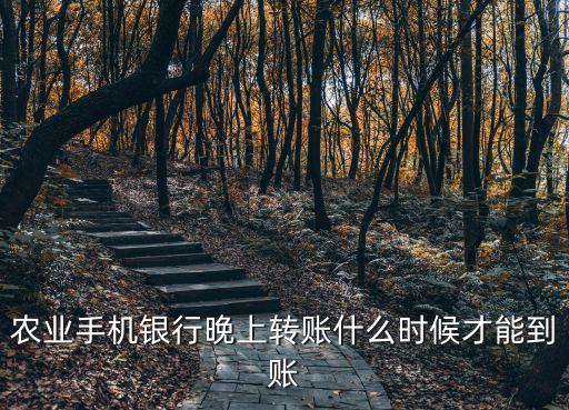農(nóng)業(yè)手機(jī)銀行晚上轉(zhuǎn)賬什么時候才能到賬